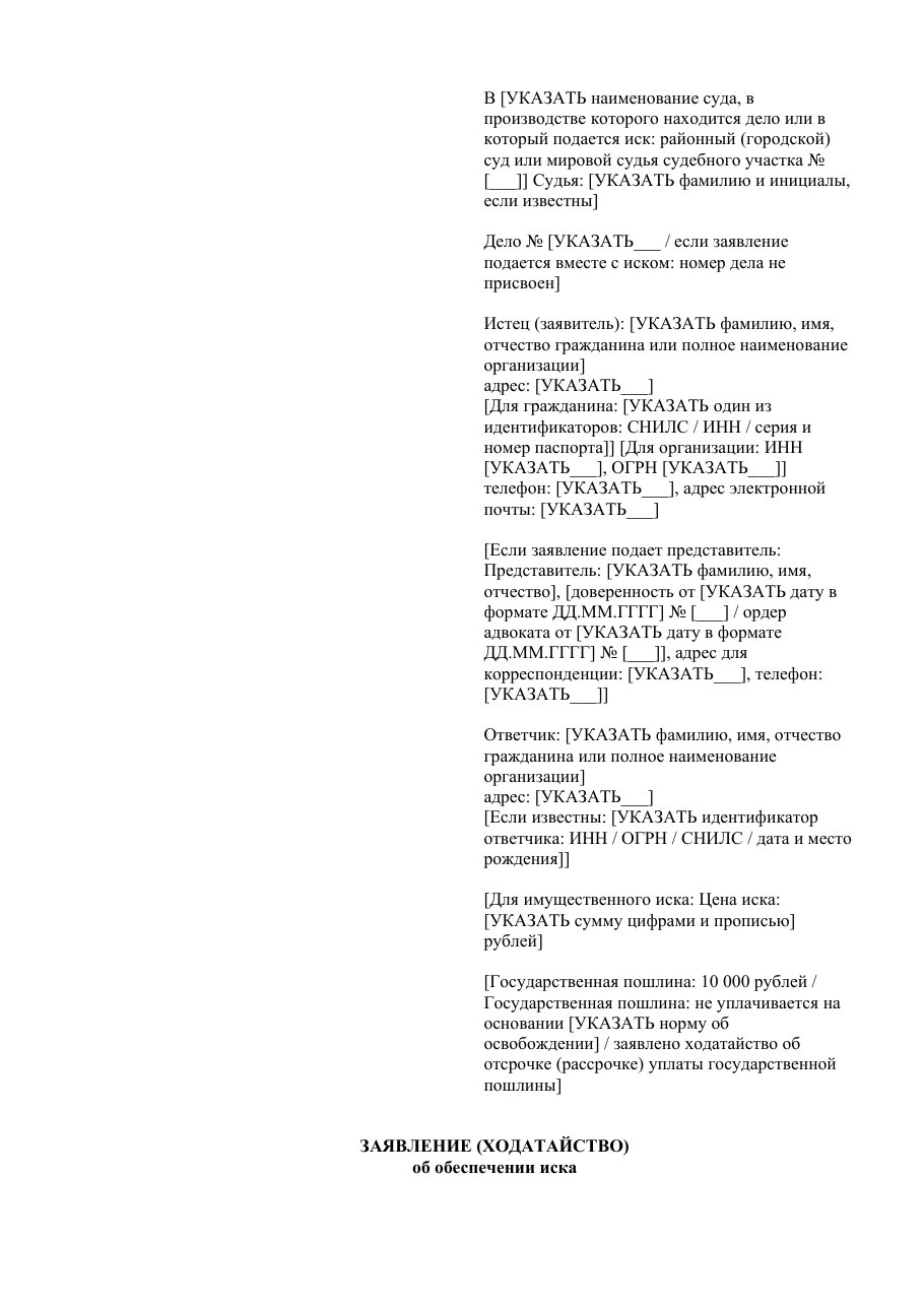 Образец заявления (ходатайства) об обеспечении иска: первая страница